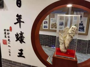 2021事事蚝 Oyster tasting in Shajing-Sheldon Tan